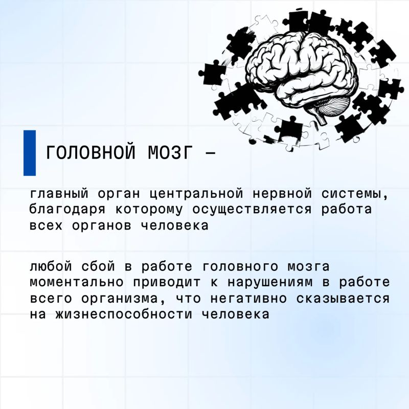 С 20 по 26 июля 2026 проводится Неделя сохранения здоровья головного мозга (в честь Всемирного дня мозга 22 июля) С 20 по 26 июля 2026 проводится Неделя сохранения здоровья головного мозга (в честь Всемирного дня мозга 22 июля)