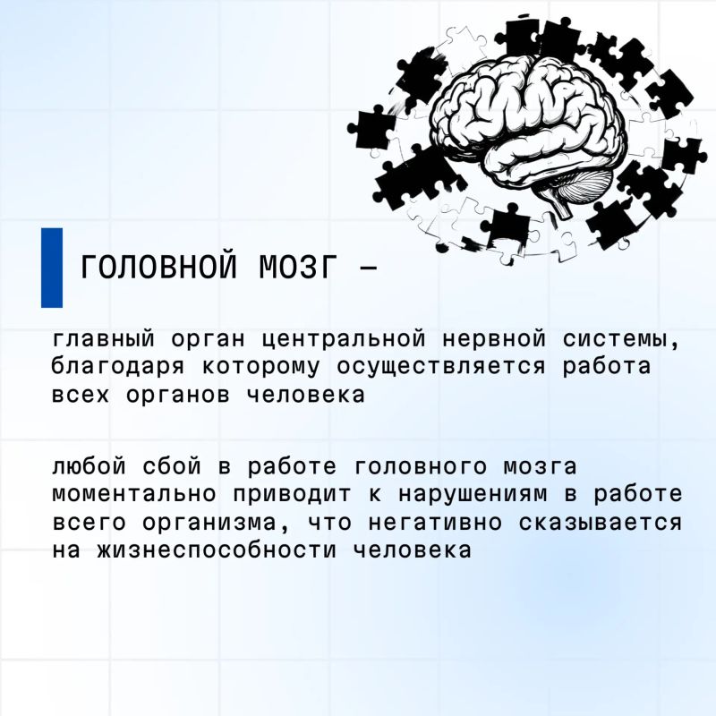 С 20 по 26 июля 2026 проводится Неделя сохранения здоровья головного мозга (в честь Всемирного дня мозга 22 июля) С 20 по 26 июля 2026 проводится Неделя сохранения здоровья головного мозга (в честь Всемирного дня мозга 22 июля)