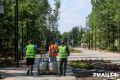 В Волгограде началось озеленение нового сквера им. Станислава Говорухина
