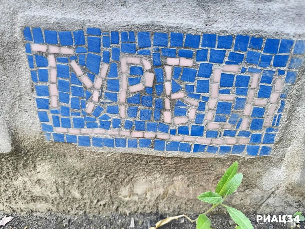 Вот такую милоту от волгоградских уличных художников внезапно можно найти в сквере у кинотеатра на выходе со станции СТ "Профсоюзная" Вот такую милоту от волгоградских уличных художников внезапно можно найти в сквере у кинотеатра на выходе со станции СТ "Профсоюзная"