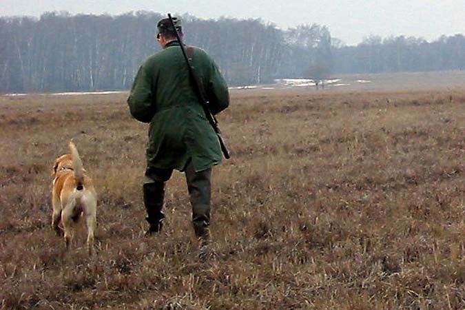 Лимиты и квоты на охоту в Волгоградской области утвердили на 2026-2027 год