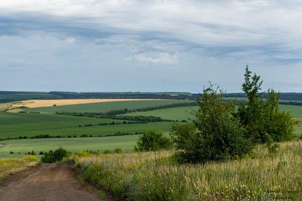 Живая вода урочища Белогорье: чем славится старинный родник в Волгоградской области Живая вода урочища Белогорье: чем славится старинный родник в Волгоградской области