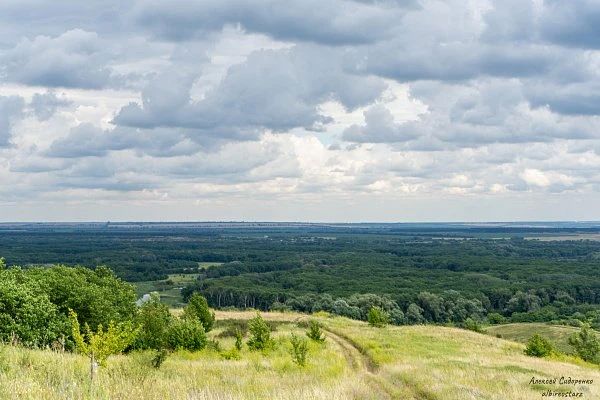 Живая вода урочища Белогорье: чем славится старинный родник в Волгоградской области Живая вода урочища Белогорье: чем славится старинный родник в Волгоградской области