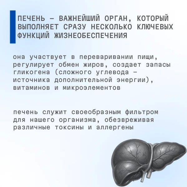 С 27 июля по 02 августа 2026 проводится Неделя профилактики заболеваний печени (в честь Международного дня борьбы с гепатитом 28 июля) С 27 июля по 02 августа 2026 проводится Неделя профилактики заболеваний печени (в честь Международного дня борьбы с гепатитом 28 июля)