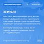 Если сегодня случится гроза, то стоит ждать дождливую осень