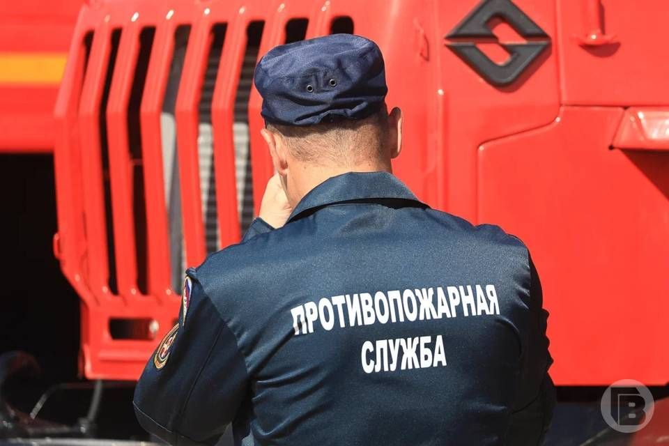 Чрезвычайная пожароопасность ожидается в отдельных районах Волгоградской области 31 июля и 1 августа, сообщает ГУ МЧС России по региону