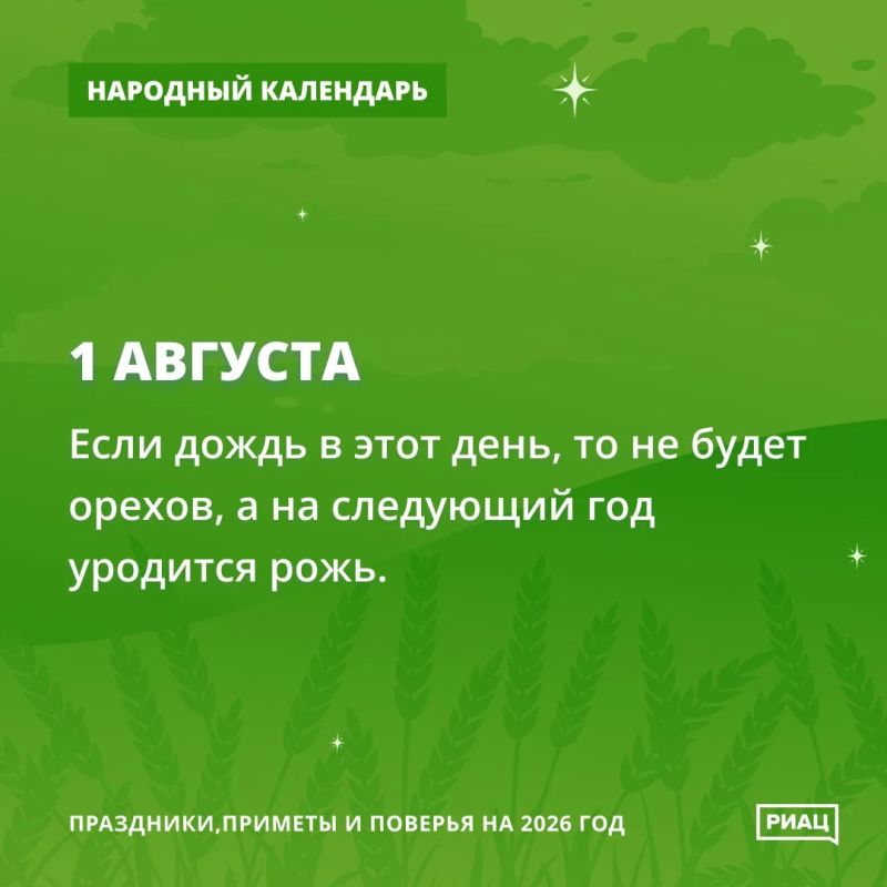 Если сегодня начнётся дождь, то урожая орехов ждать не стоит Если сегодня начнётся дождь, то урожая орехов ждать не стоит