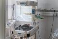 Озвучен топ самых популярных имен для детей в Волгограде
