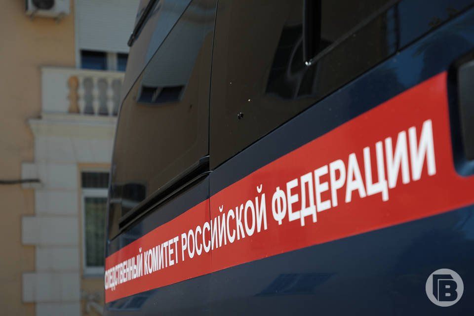 Волгоградец подозревается в распространении фейков о ВС РФ, он задержан, возбуждено уголовное дело, сообщили в СУ СК по региону