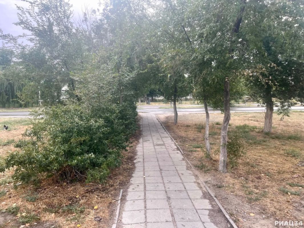 В Кировском районе Волгограда благоустроят территорию возле гимназии № 10 В Кировском районе Волгограда благоустроят территорию возле гимназии № 10