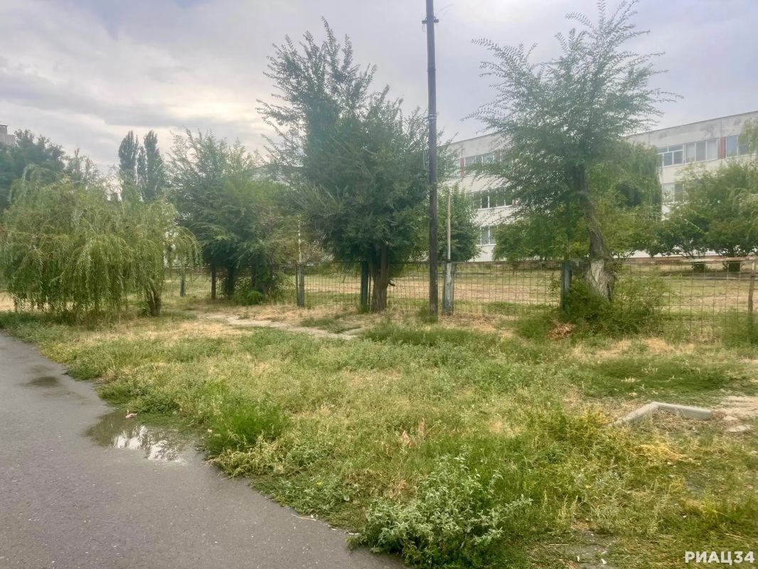 В Кировском районе Волгограда благоустроят территорию возле гимназии № 10 В Кировском районе Волгограда благоустроят территорию возле гимназии № 10