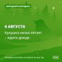 Если увидели летящий осиновый пух, то самое время идти на поиски подосиновиков