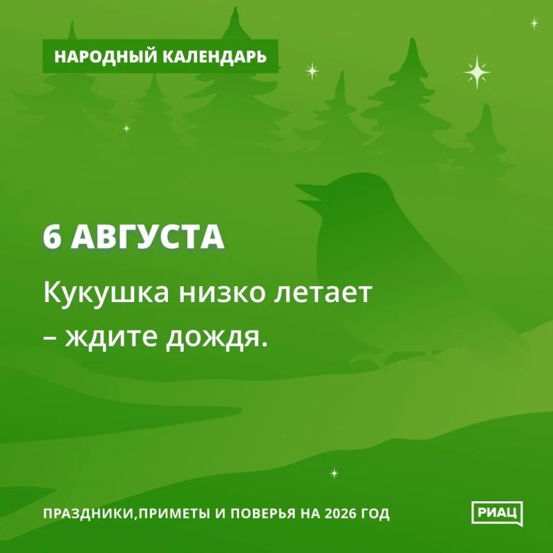 Если увидели летящий осиновый пух, то самое время идти на поиски подосиновиков