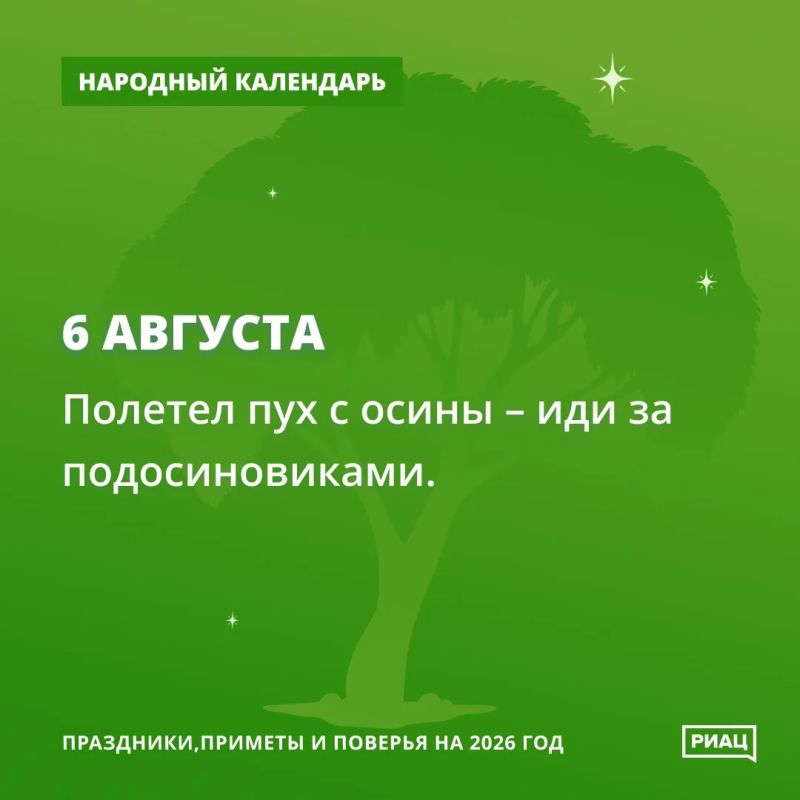 Если увидели летящий осиновый пух, то самое время идти на поиски подосиновиков Если увидели летящий осиновый пух, то самое время идти на поиски подосиновиков