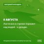 Много желудей на дубах - к хорошему урожаю на полях