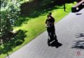 � ���������� ����������� ������������������, �������� �������� � ������