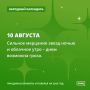 Если утро сегодня облачное, днём возможна гроза