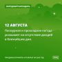 Суетливые жучки и мураши предсказывают дождь