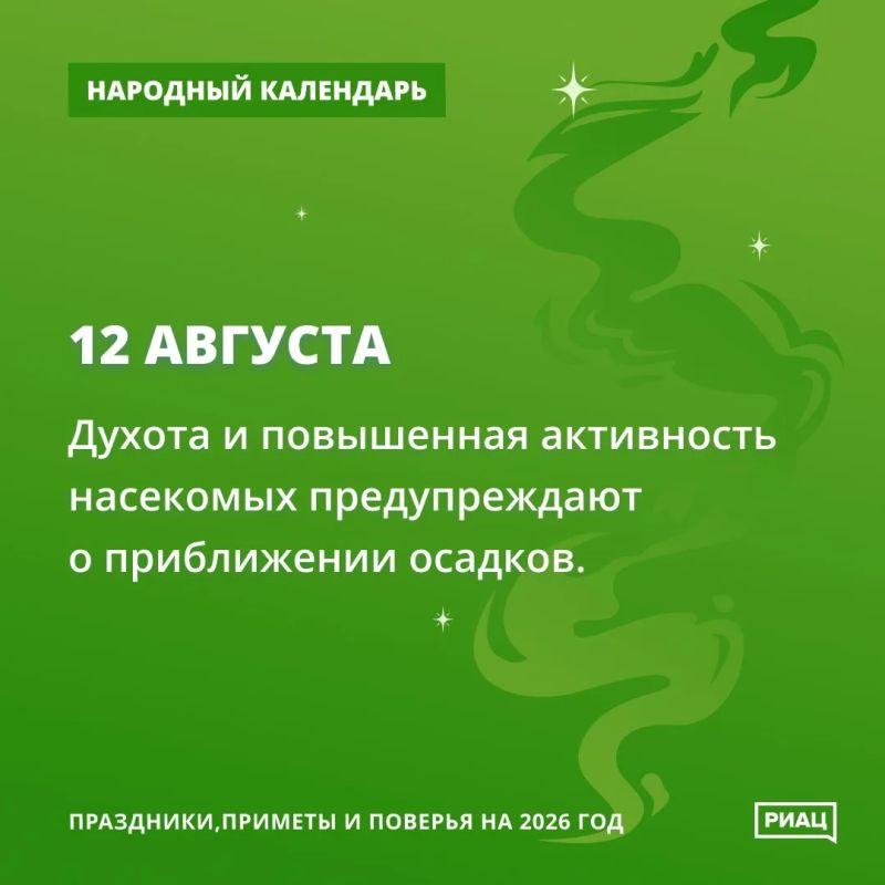 Суетливые жучки и мураши предсказывают дождь Суетливые жучки и мураши предсказывают дождь