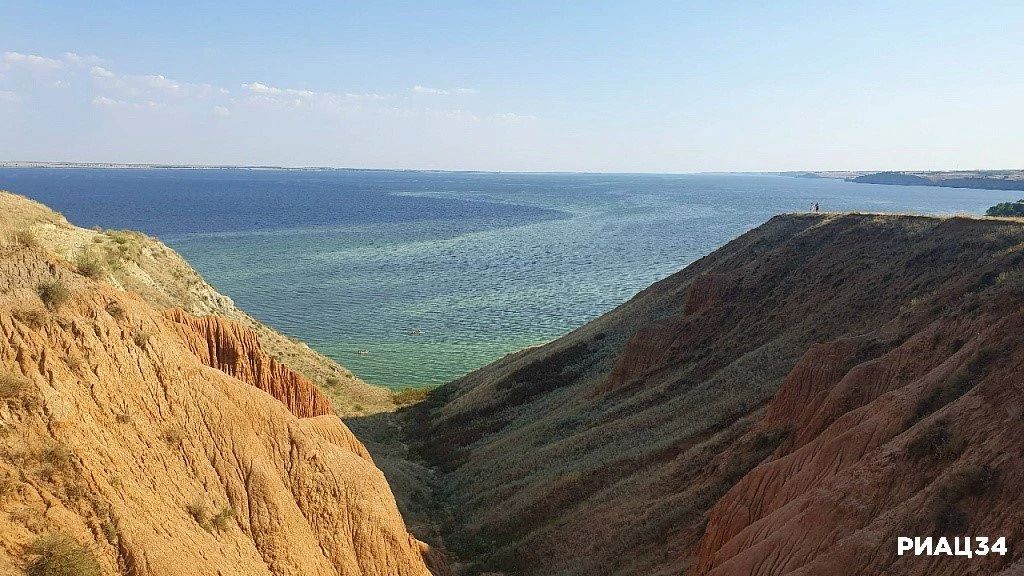 Волгоградское и и Цимлянское водохранилища заполонили сине-зелёные водоросли Волгоградское и и Цимлянское водохранилища заполонили сине-зелёные водоросли