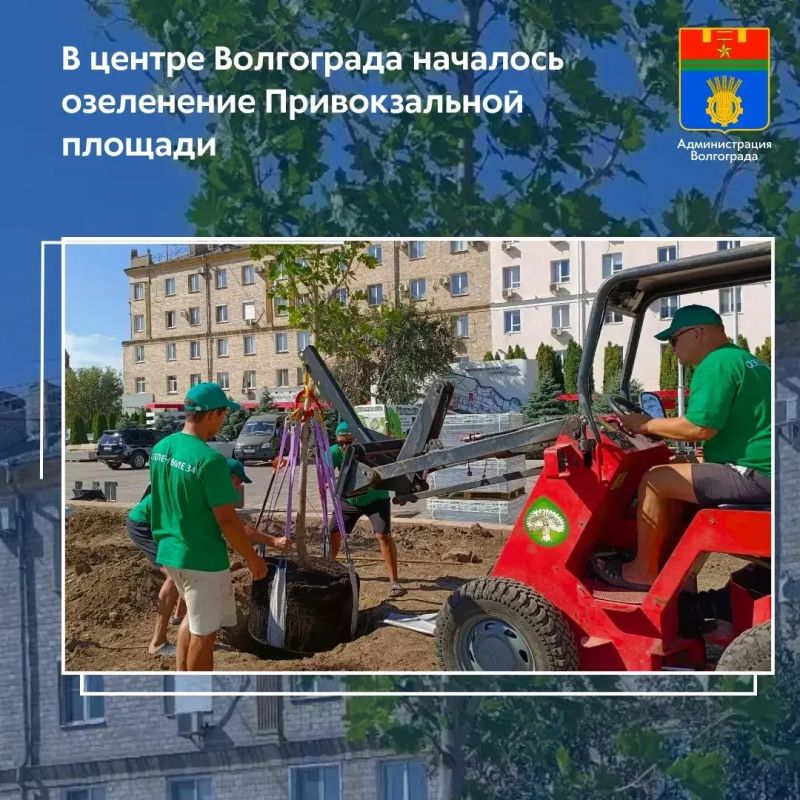 Воспользовавшись начавшимся снижением среднесуточной температуры, специалисты подрядной организации приступили к высадке растений на территории Привокзальной пощади