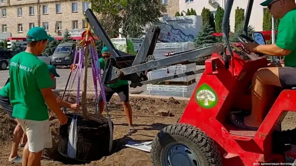 Привокзальную площадь в Волгограде начали озеленять