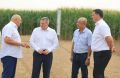 Андрей Бочаров заявил о необходимости создать в Волгоградской области современный агропромышленный комплекс по переработке молока
