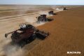 Волгоградские аграрии уже собрали 5,5 миллиона тонн зерна