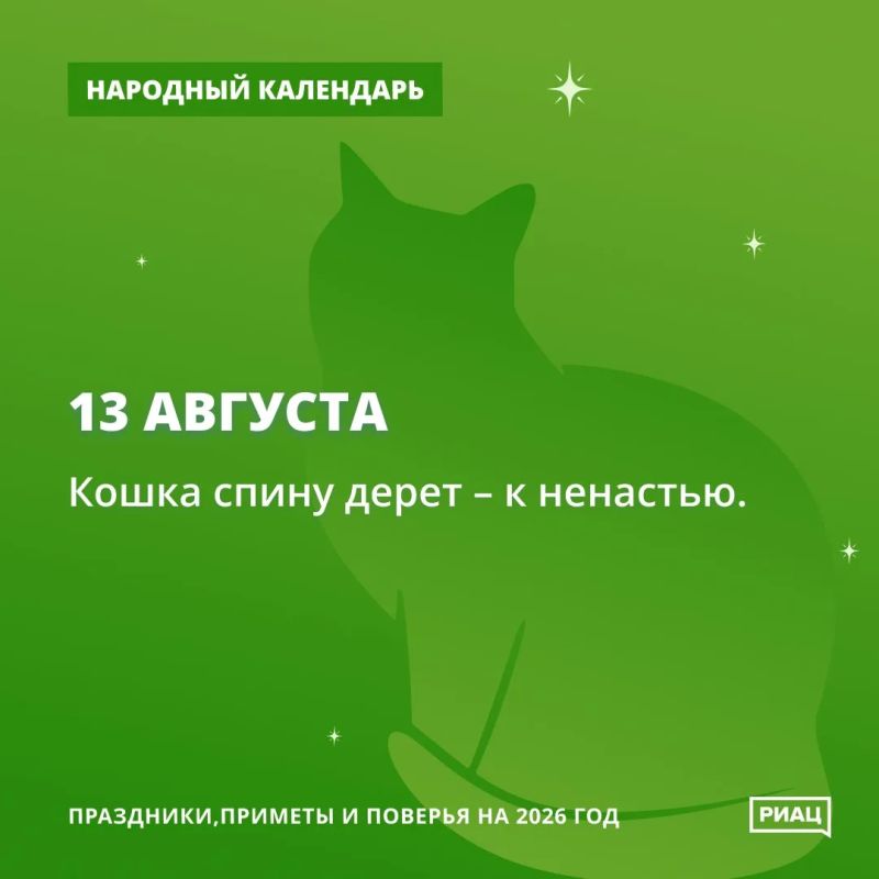 Кошка активно чешет спинку - к ненастью Кошка активно чешет спинку - к ненастью