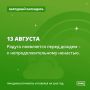 Кошка активно чешет спинку - к ненастью