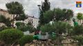 На Привокзальной площади создают три живые композиции