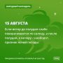 Кошка скребёт пол - к грядущему ненастью