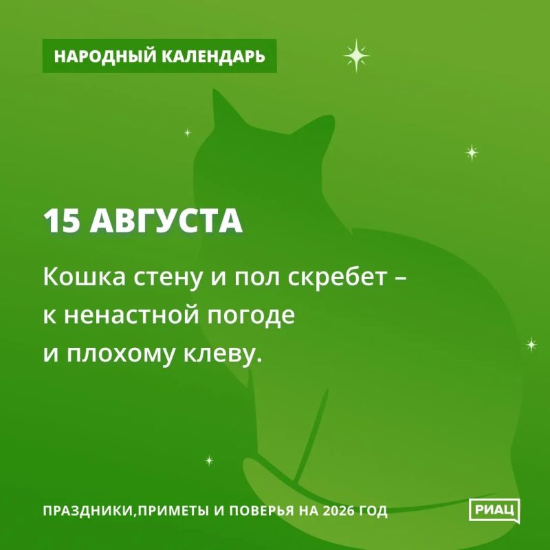 Кошка скребёт пол - к грядущему ненастью Кошка скребёт пол - к грядущему ненастью