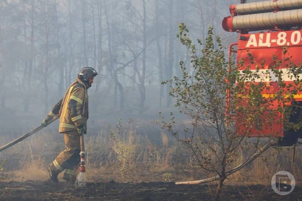 Высокий риск пожаров фиксируется в волгоградских лесах