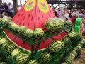 Камышинский арбузный фестиваль-2026: шествие Царя Полосатика, конкурс гигантских арбузов, концерт и фейерверк