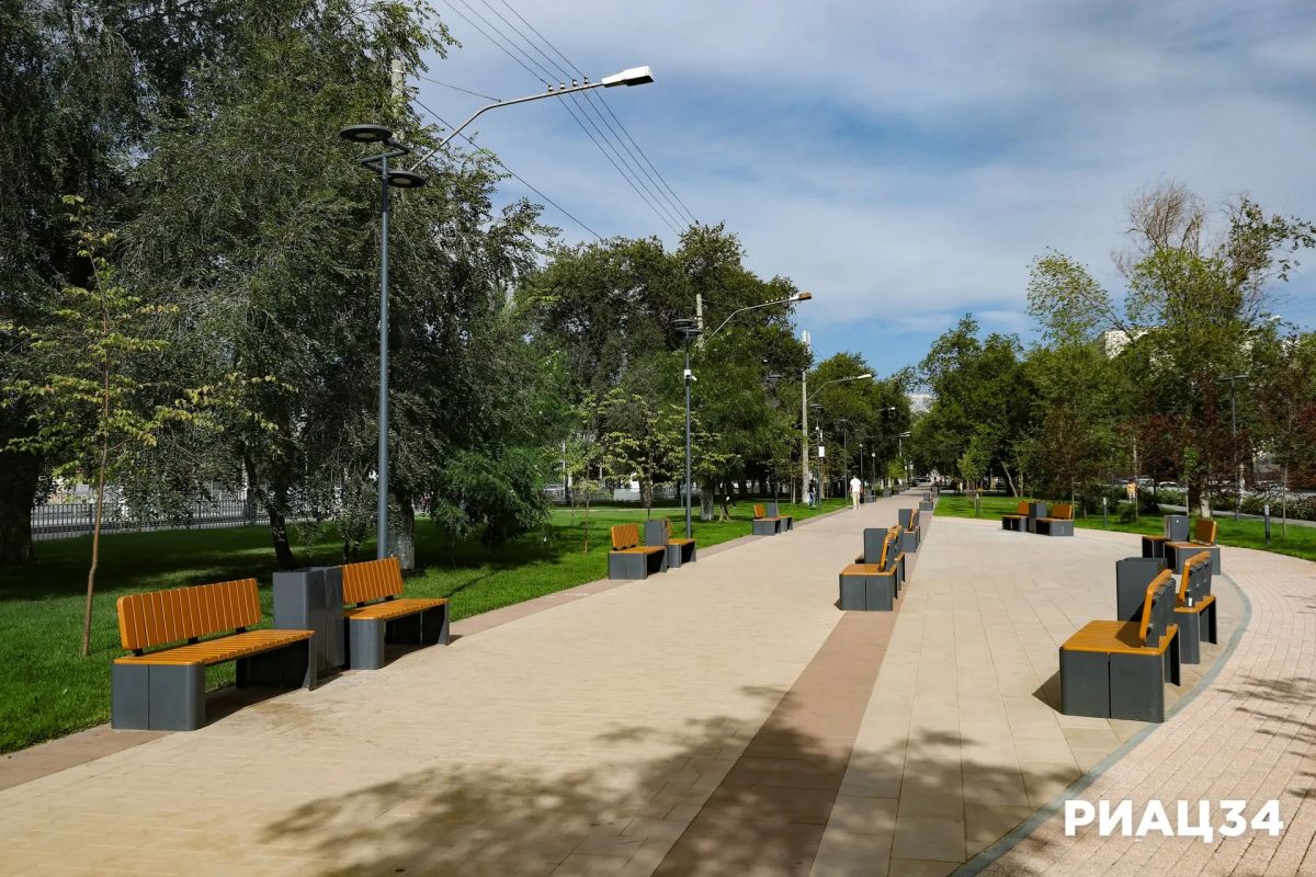 В Краснооктябрьском районе Волгограда озеленяют проспект Металлургов В Краснооктябрьском районе Волгограда озеленяют проспект Металлургов