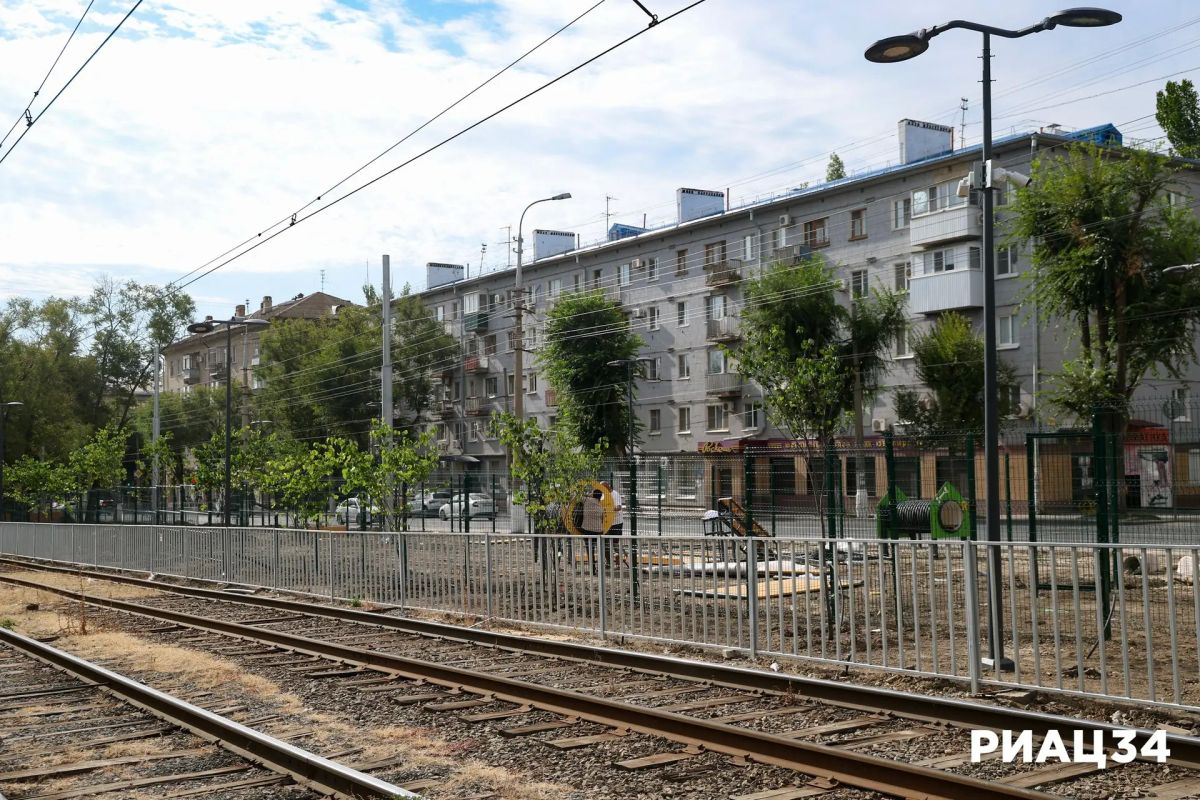 В Краснооктябрьском районе Волгограда озеленяют проспект Металлургов В Краснооктябрьском районе Волгограда озеленяют проспект Металлургов