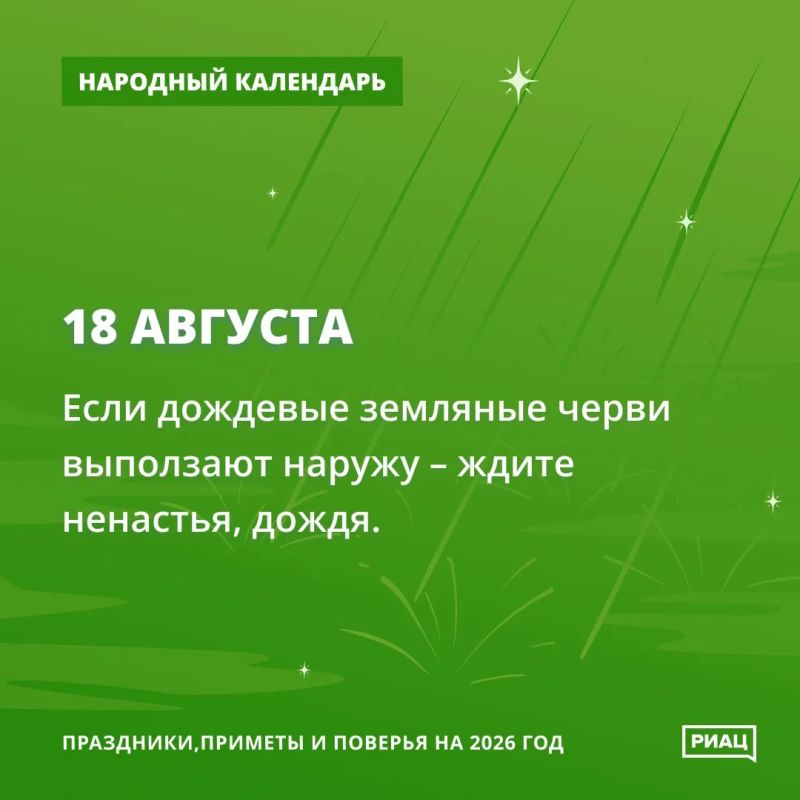 Дождевые червяки - к дождю и ненастью Дождевые червяки - к дождю и ненастью