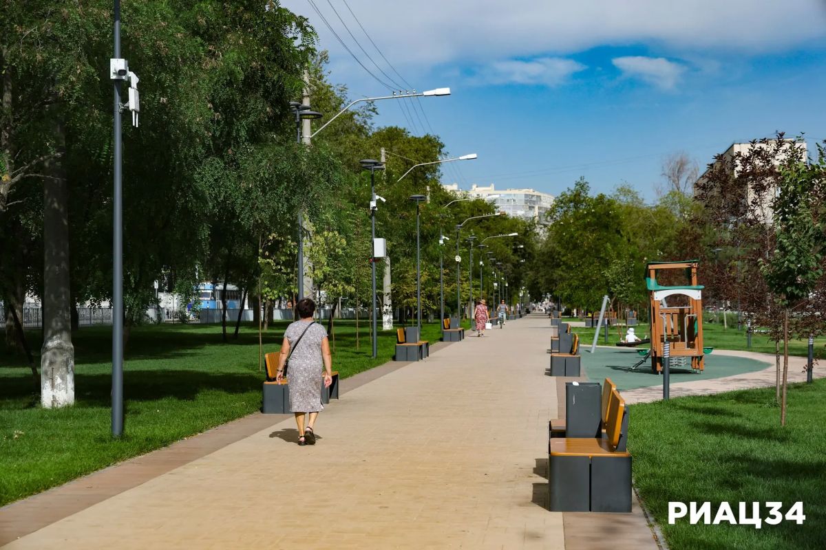 В Краснооктябрьском районе Волгограда озеленяют проспект Металлургов В Краснооктябрьском районе Волгограда озеленяют проспект Металлургов