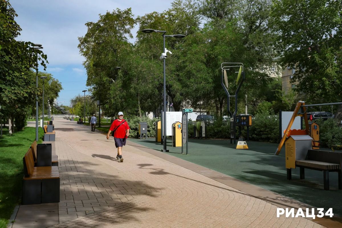 В Краснооктябрьском районе Волгограда озеленяют проспект Металлургов В Краснооктябрьском районе Волгограда озеленяют проспект Металлургов