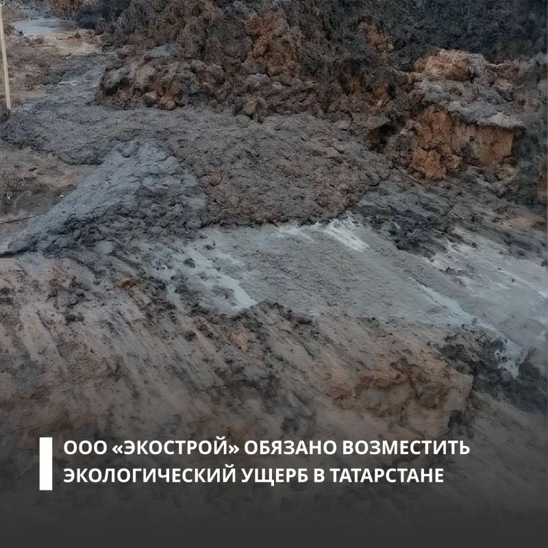 Арбитражный суд Республики Татарстан поддержал требования Росприроднадзора и обязал ООО «Экострой» возместить более 1 млн рублей за загрязнение почв