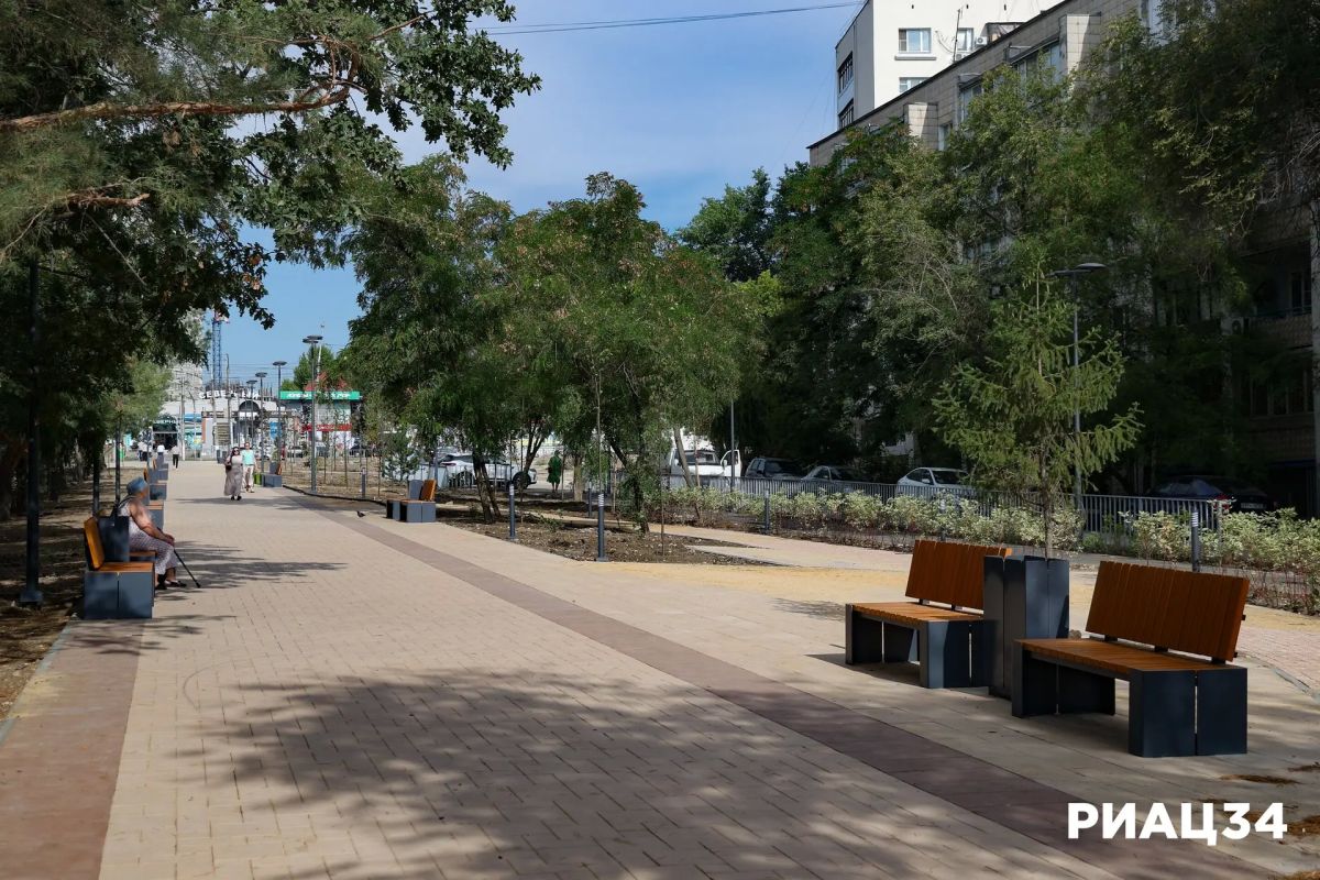 В Краснооктябрьском районе Волгограда озеленяют проспект Металлургов В Краснооктябрьском районе Волгограда озеленяют проспект Металлургов