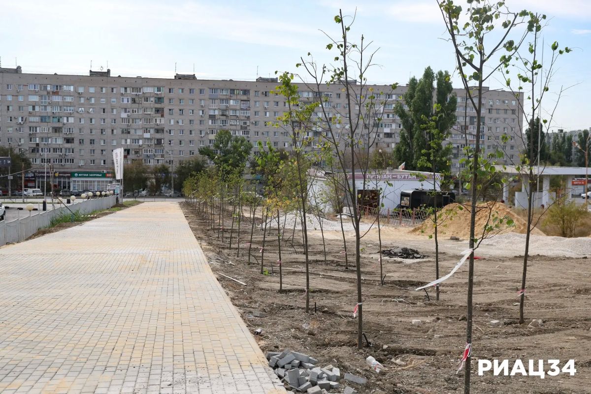 У Храма Иоанна Кронштадтского в Краснооктябрьском районе Волгограда высадили липы, черёмухи и клёны