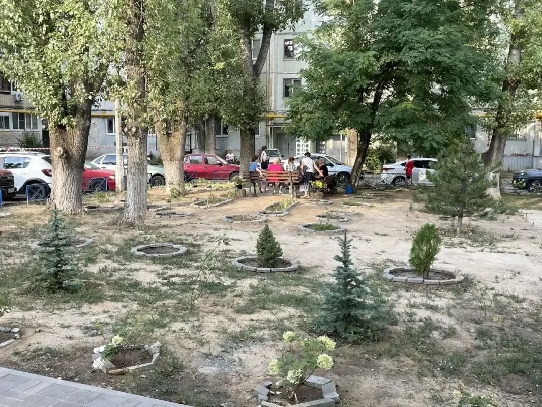 Госжилнадзор принял участие в мероприятии, посвященном памяти погибших в ходе специальной военной операции героев — жильцов одного из многоквартирных домов Волгограда Госжилнадзор принял участие в мероприятии, посвященном памяти погибших в ходе специальной военной операции героев — жильцов одного из многоквартирных домов Волгограда