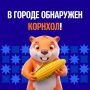 В Волжском устроят «Битву початков»