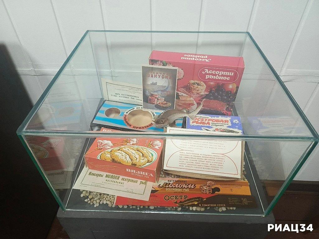 Живая рыба, архивные снимки и рубль на счастье: в Волгограде этим летом открыли Музей осетра на Волге Живая рыба, архивные снимки и рубль на счастье: в Волгограде этим летом открыли Музей осетра на Волге