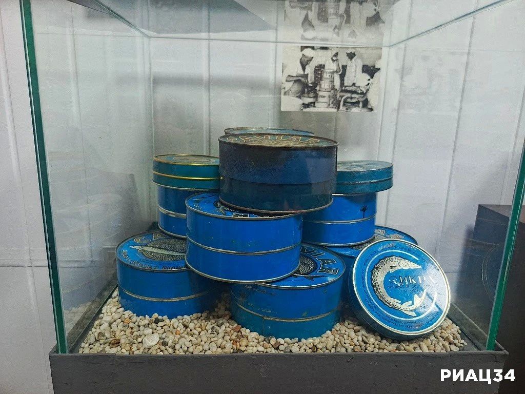 Живая рыба, архивные снимки и рубль на счастье: в Волгограде этим летом открыли Музей осетра на Волге Живая рыба, архивные снимки и рубль на счастье: в Волгограде этим летом открыли Музей осетра на Волге