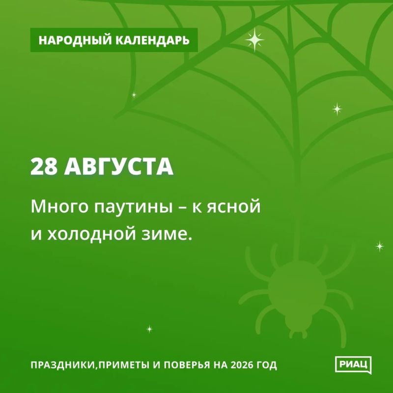 Увидите много паутины - значит, быть холодной зиме Увидите много паутины - значит, быть холодной зиме