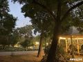 �������� ����������� ���� ����������