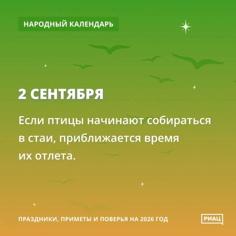 Вот и паутинка полетела Вот и паутинка полетела